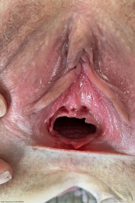 Open Pussy Porn Photos